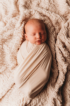 Newborn-Taylor-235