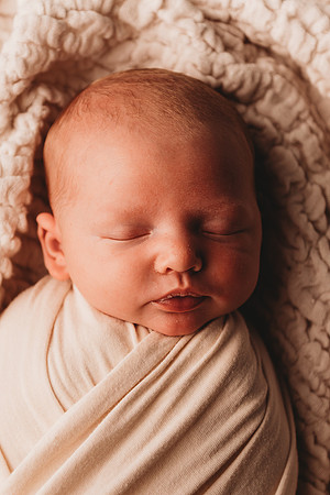 Newborn-Taylor