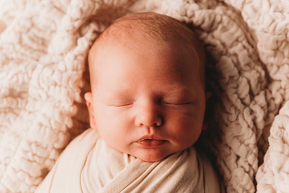 Newborn-Taylor-337