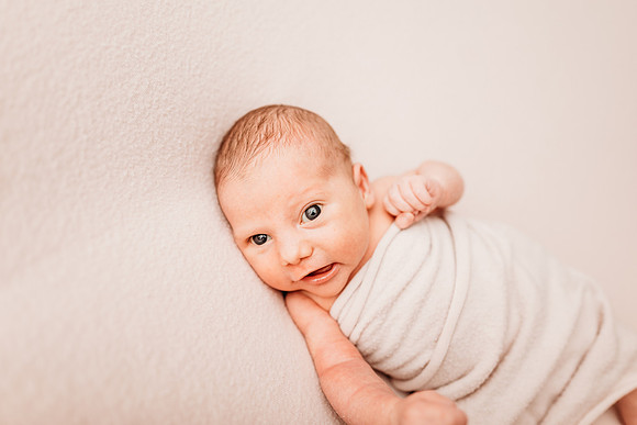 Newborn-Hawk-69