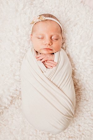 Newborn-Hawk-558