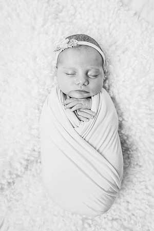 Newborn-Hawk-495
