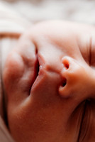 Newborn-Bradford-68