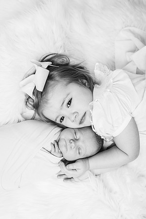 Newborn-Hawk-497-2