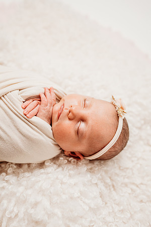 Newborn-Hawk-65