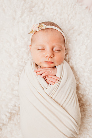 Newborn-Hawk-554