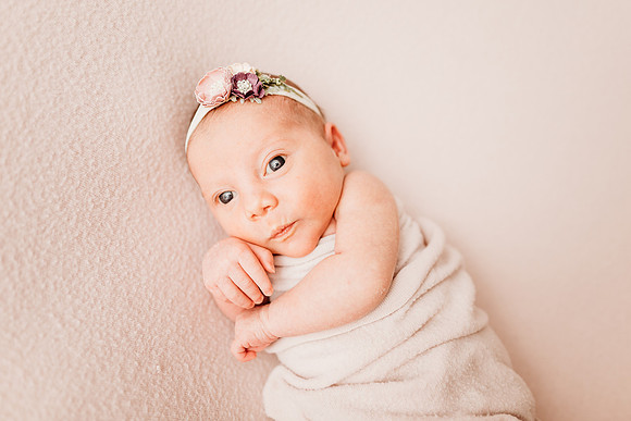 Newborn-Hawk-475