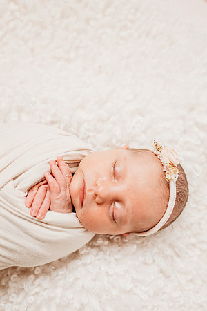 Newborn-Hawk-567