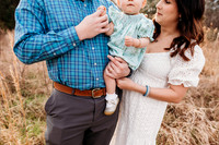 Family-Lambert-83