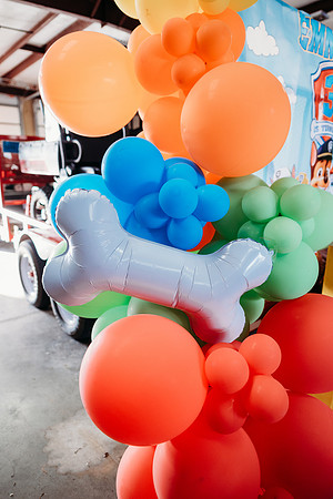 Brown-Party-153