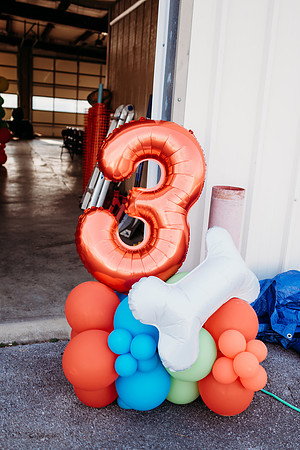 Brown-Party-326