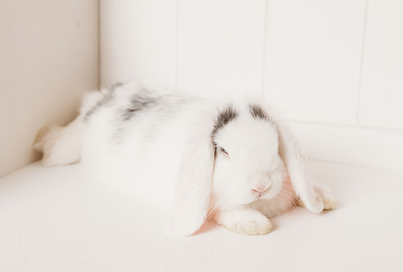 Easter 2022-Young-265