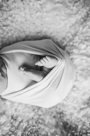 Newborn-Cantrell-162
