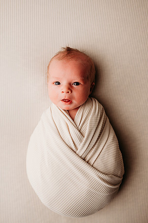 Newborn-Anders-243