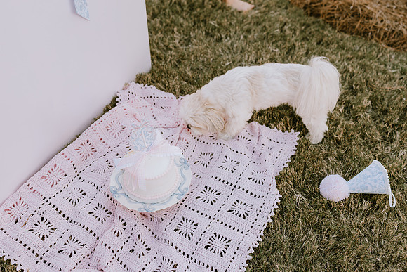 1st Birthday-Ford_-670