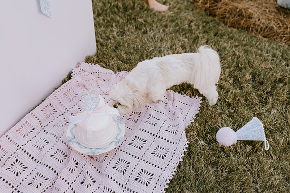1st Birthday-Ford_-841