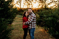 Tree Farm 2024-Wilson-76