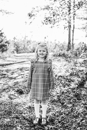 Fall Minis-2024-13-2