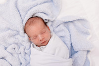 Boyd Newborn 2026-41-3