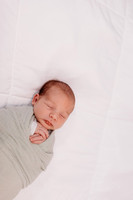 Boyd Newborn 2026-2