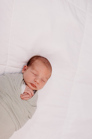 Boyd Newborn 2026-2