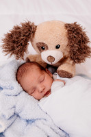 Boyd Newborn 2026-3
