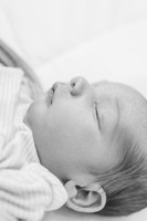 Boyd Newborn 2026-20