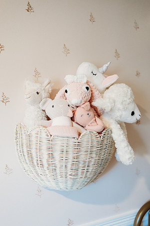 LeGrande Newborn 2026-1111