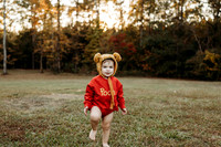 TY Pooh-32