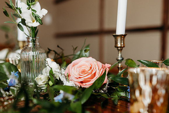 Headley Flower Farm Shoot-1042