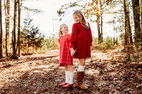 Fall Minis-2024-15