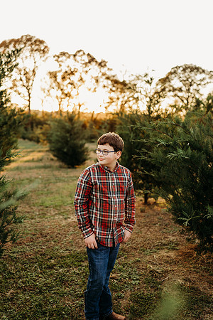 Tree Farm 2024-Wilson-322