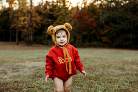 TY Pooh-35