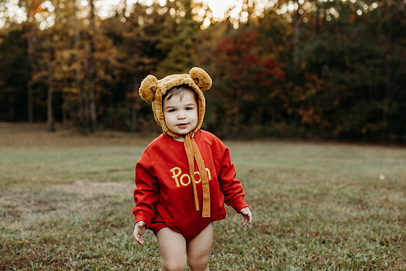 TY Pooh-35