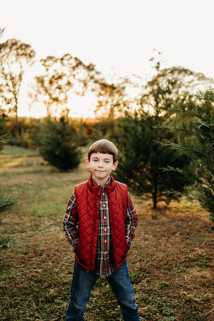 Tree Farm 2024-Wilson-19