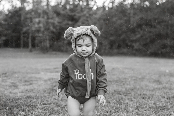TY Pooh-38-Edit