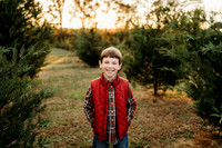 Tree Farm 2024-Wilson-21