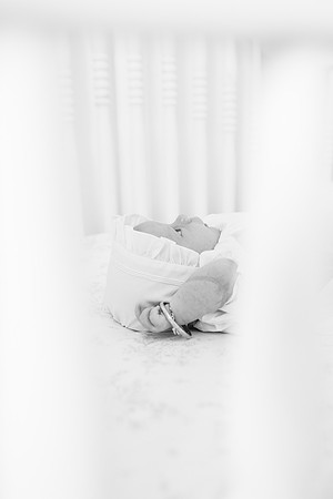 Newborn-Phillips-236