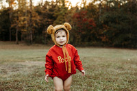 TY Pooh-35-Edit