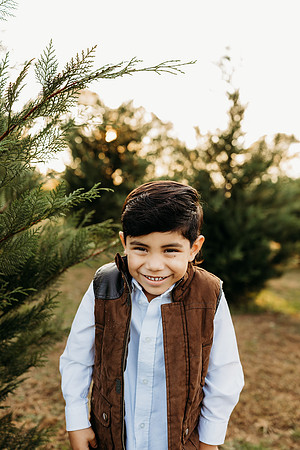 Tree Farm 2024-Melo-545