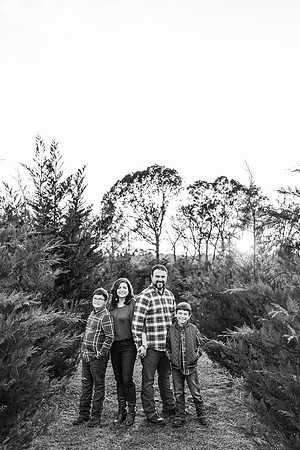 Tree Farm 2024-Wilson-241-2
