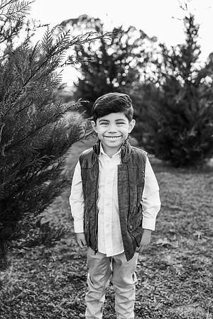 Tree Farm 2024-Melo-771