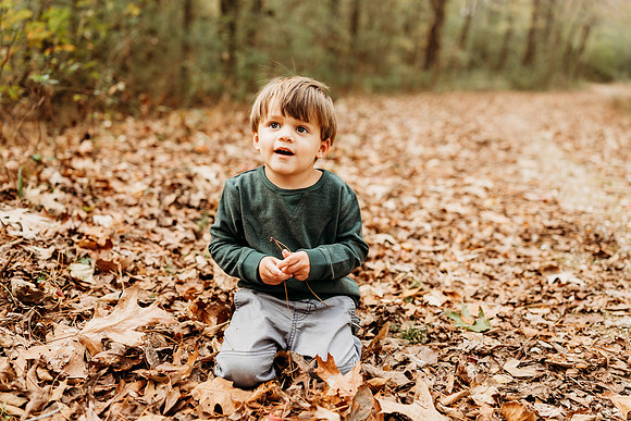 Fall Minis-2024-1609