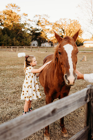 Harper and Hallie-978