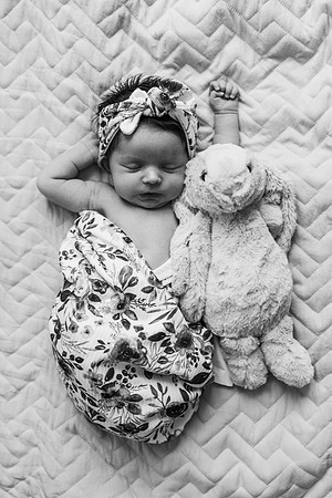 Wills Newborn-341-2