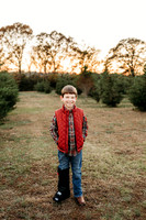 Tree Farm 2024-Wilson-82