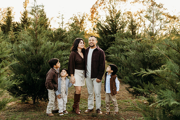 Tree Farm 2024-Melo-366
