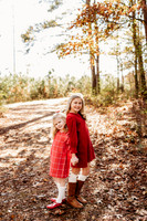 Fall Minis-2024-13