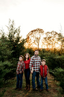 Tree Farm 2024-Wilson-81