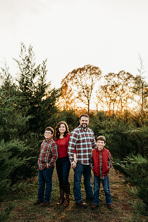 Tree Farm 2024-Wilson-81